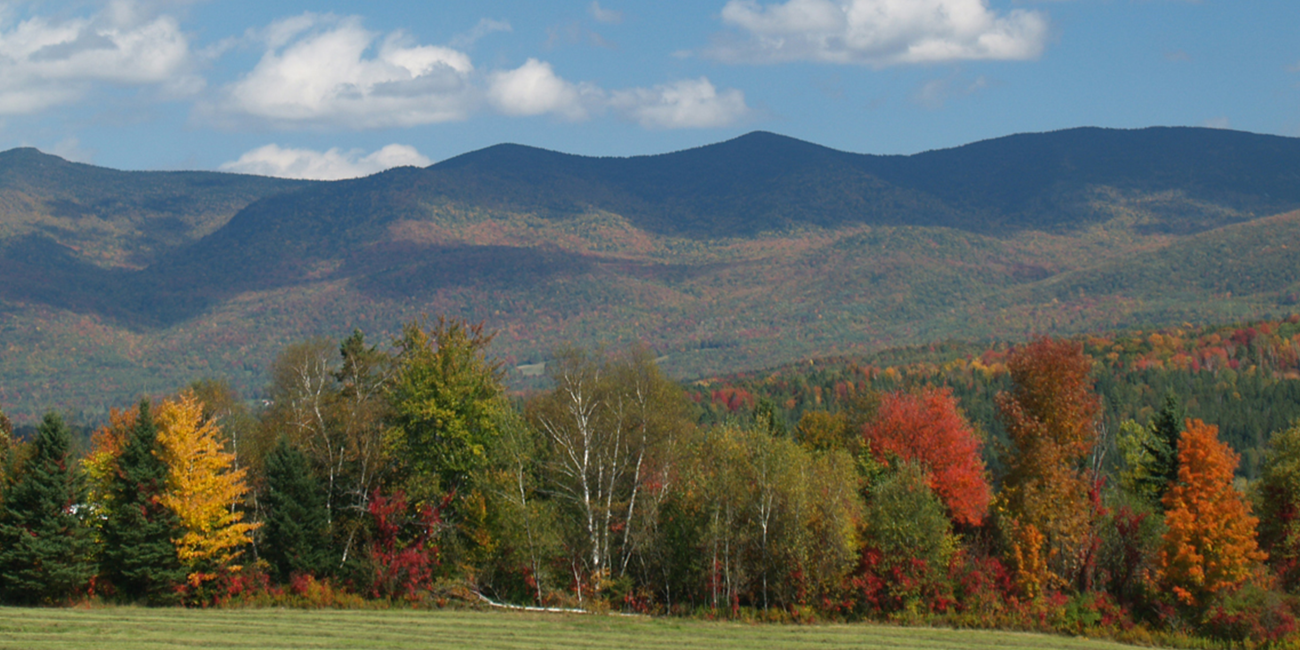 fôret du New Hampshire en automne