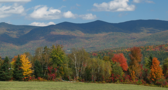 Fig.2-B4-NewHampshire fôret du New Hampshire en automne